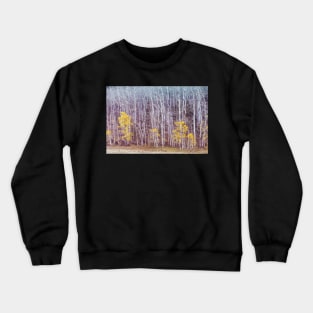 Aspens Late Autumn Crewneck Sweatshirt